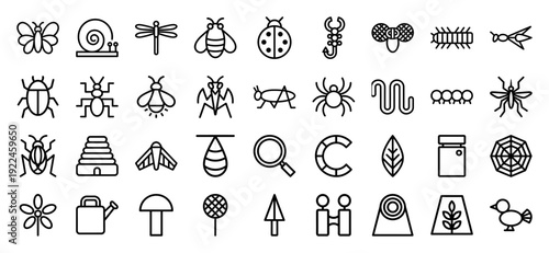 Entomology and nature exploration line icons featuring diverse insects and gardening equipment. Minimalist monoline pictograms for environmental education and biological research.