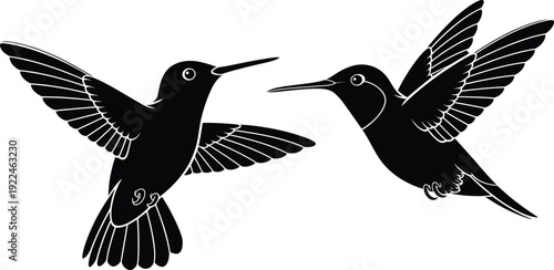 Black vector silhouette of two hummingbirds flying face to face for nature conservation, garden wildlife, bird watching, and delicate animal spring branding