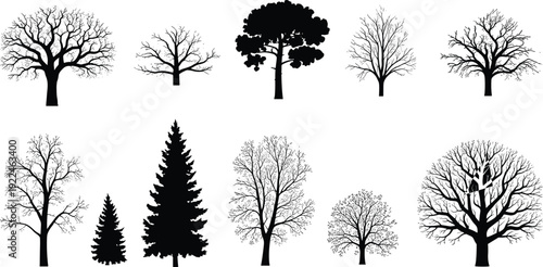 Black vector silhouette set of diverse trees including oak pine fir and deciduous species for forest landscape nature environment and ecological branding graphics