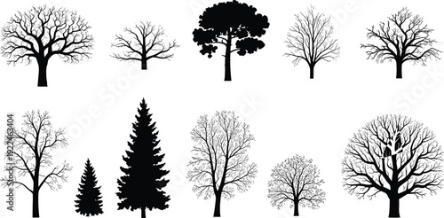 Black vector silhouette set of diverse trees including oak pine fir and deciduous species for forest landscape nature environment, and ecological branding graphics