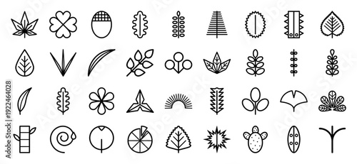 Botanical leaf morphology and plant biology icons. Minimalist monolinear silhouettes representing diverse foliage shapes, dendrology, and environmental science research.