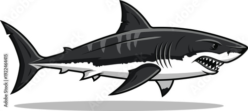 Cartoon shark vector illustration with sharp teeth, menacing expression, streamlined body, and dynamic swimming pose, suitable for mascots, logos, marine life education, and playful design projects