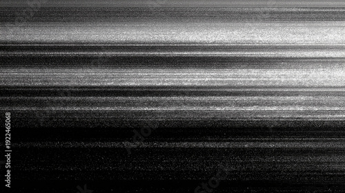 Vintage VHS Scanlines and Analog Black and White  TV Distortion Overlay Texture