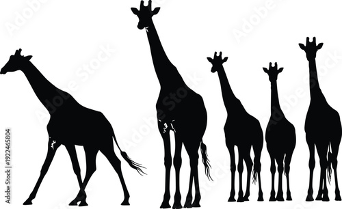 Silhouette of active family with father mother son and daughter running together for fitness health and wellness on white background