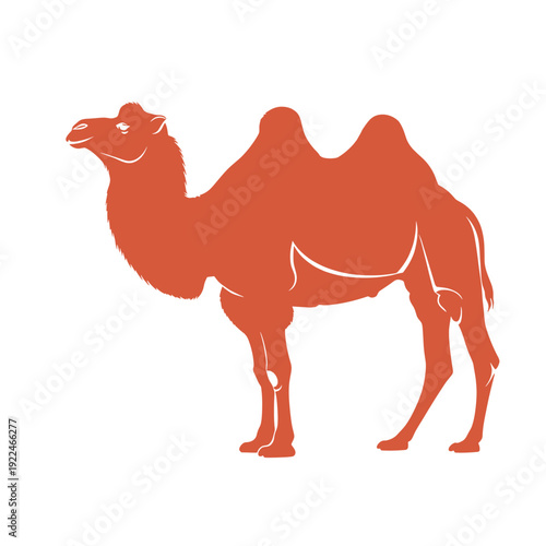 Camel Silhouette Standing in Desert Landscape Warm Tones