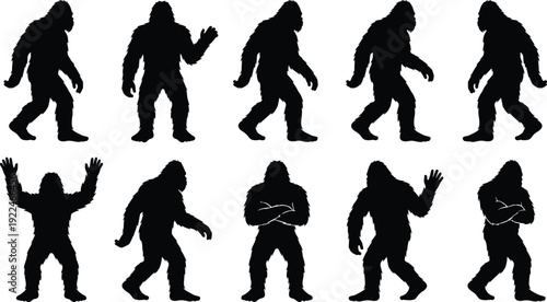 Bigfoot silhouette set in multiple walking and standing poses isolated on white background, detailed sasquatch shapes for cryptid illustration and folklore design