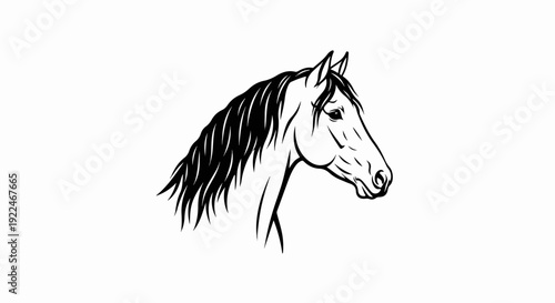 Stylized black and white outline drawing of a horse's head