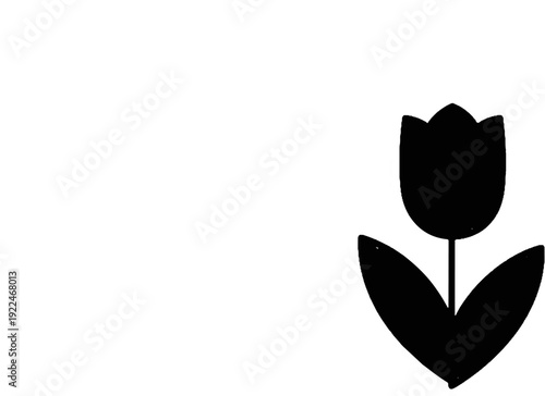 Silhouette of a single black tulip with two leaves on a white background