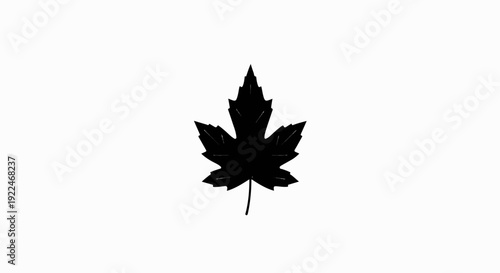 Silhouette of a single maple leaf with a textured appearance