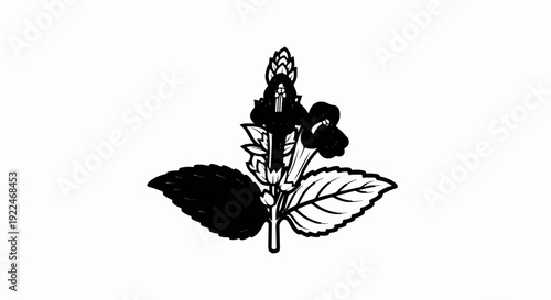 Stylized black and white drawing of a flowering plant with textured leaves