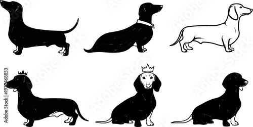 Six illustrative drawings of dachshunds in various poses and adornments