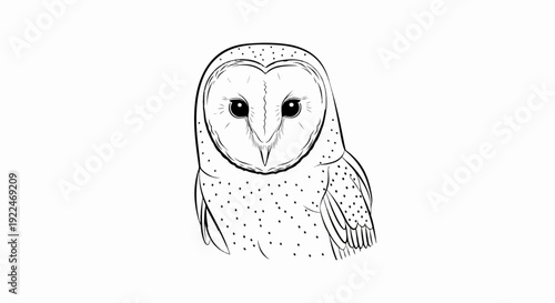 Sketch of a barn owl's head and upper body with speckled plumage