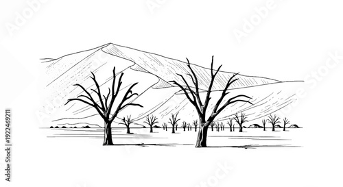 Sparse dead trees stand against a stark desert landscape and large sand dune