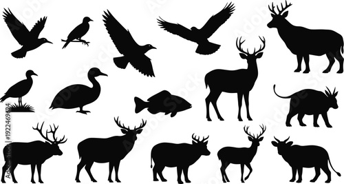 Crown of thorns, isolated on white background