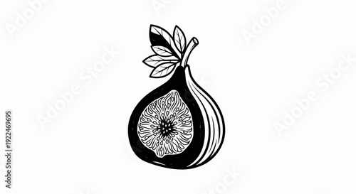 Stylized black and white illustration of a halved fig with leaves