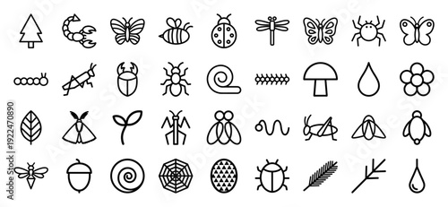 Forest biology and garden wildlife monoline icons for educational infographics. Minimalist black outline symbols of insects, plants, and woodland nature.