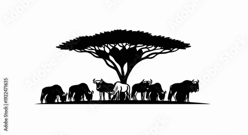 Silhouette of wildebeest herd grazing under a large acacia tree
