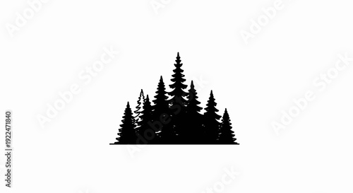 Silhouetted evergreen trees stand tall against a stark white background