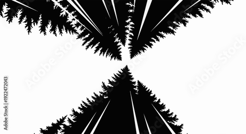 Silhouetted trees pointing towards sky and earth, abstract perspective