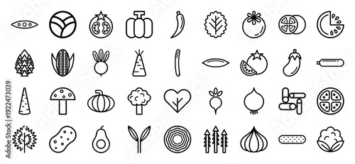 Fresh organic vegetable and garden harvest line icons. Technical monoline pictograms for healthy eating, agricultural branding, and culinary app interfaces.
