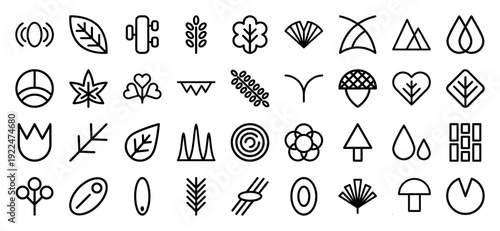 Abstract nature symbols and botanical line elements for organic branding. Minimalist monoline plant icons featuring leaves, seeds, and forest growth patterns.