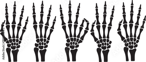 Skeleton hand gestures set. Collection of hand-drawn bones signs. Vector illustration.