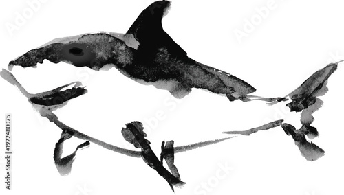 サメの筆書きイラスト素材