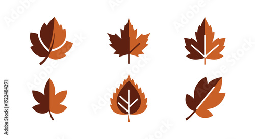 Brown leaf Line art minimal abstract color vector