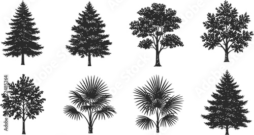 Collection of Tree Silhouettes from Top View for Architecture Design