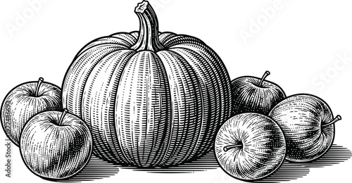 Pumpkin and Apples Arrangement Vintage Engraving Style Harvest Season