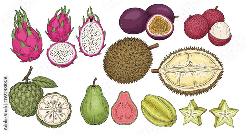 Assorted exotic fruits displayed together on a clean white surface viewed directly from above