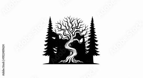 Ornate bare tree framed by dark evergreen trees in silhouette