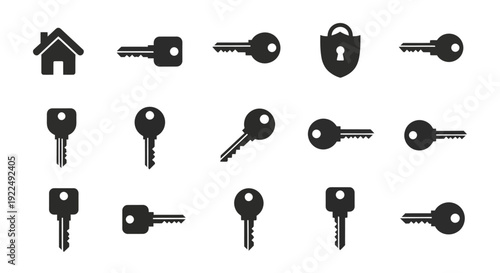 Collection of security and access icons home, keys, and padlock featuring various designs and styles