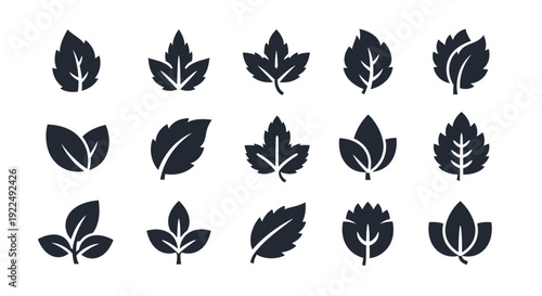 Collection of different leaf icons in a stylized, minimalist graphic design for nature and plant-themed projects