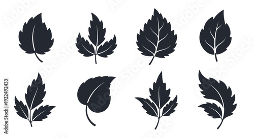 Diverse Collection of Stylized Vector Leaf Silhouettes for Nature-Inspired Designs and Botanical Graphics