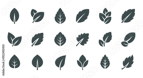 Diverse collection of vector leaf icons in black and white, representing nature, organic life, and plant elements for eco-friendly graphic designs