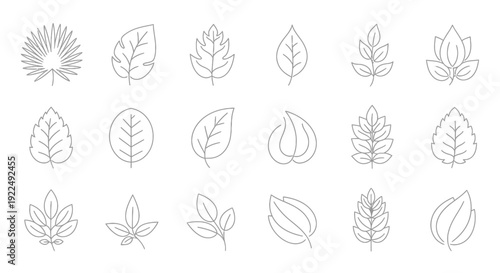 Set of 18 different stylized leaf outlines, perfect for nature-inspired designs and logos