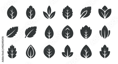 Collection of stylized leaf icons representing nature, growth, and organic elements, perfect for branding and design projects