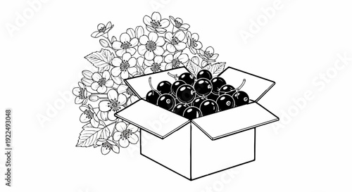 Open box overflowing with ripe berries next to a branch of delicate white blossoms