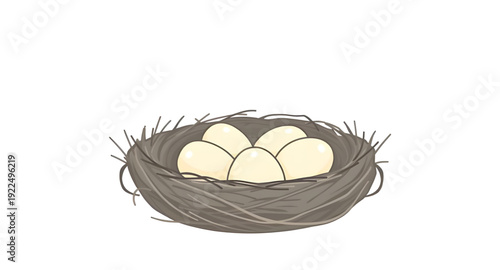nest, eggs, icon, isolated, bird, nature, wildlife, spring, hatch, family, home, shelter, incubation, breeding, motherhood, care, protection, organic, natural, rural, forest, tree, branch, straw, twig
