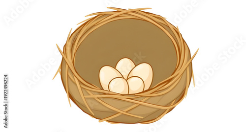 nest, eggs, icon, isolated, bird, nature, wildlife, spring, hatchling, family, home, shelter, incubation, breeding, parenting, care, protection, natural, rural, countryside, forest, branch, straw, twi