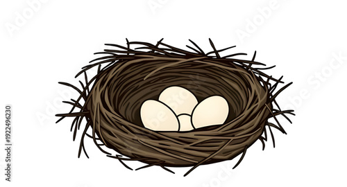 nest, eggs, icon, isolated, bird, nature, wildlife, spring, hatchling, family, home, shelter, incubation, breeding, parenting, care, protection, natural, rural, countryside, forest, branch, straw, twi