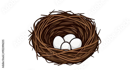 nest, eggs, icon, isolated, bird, nature, wildlife, spring, hatchling, family, home, shelter, incubation, breeding, parenting, care, protection, natural, rural, countryside, forest, branch, straw, twi