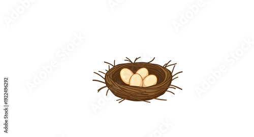 nest, eggs, icon, isolated, bird, nature, wildlife, spring, hatch, family, home, shelter, incubation, breeding, motherhood, care, protection, organic, natural, rural, forest, tree, branch, straw, twig