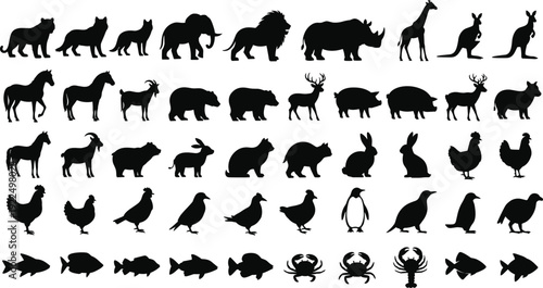 Black animal silhouette collection featuring diverse species including lions, elephants, rhinos, kangaroos, giraffes, horses, birds, fish, and crustaceans for educational, artistic