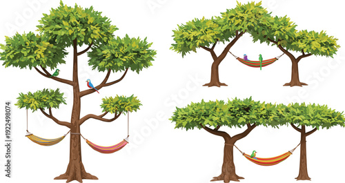 Relaxing hammocks tied between trees with tropical parrots, summer outdoor leisure scene, peaceful nature vector illustration for vacation and holiday design