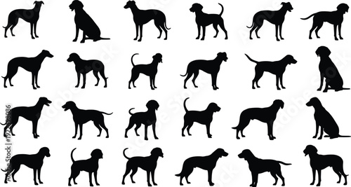 Black dog silhouette collection featuring various breeds in standing and sitting poses, isolated canine vector icons for pet care and animal veterinary design projects.