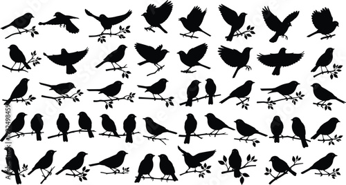 Black silhouette collection of songbirds perched on branches and in flight, isolated avian vector icons for nature wildlife and garden themed graphic design.