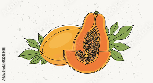 Illustration of whole and halved papaya fruit with large green leaves on a textured light gray background area.
