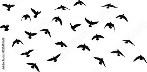 Large flock of flying birds in black silhouette across white background, isolated avian vector collection for nature wildlife freedom and seasonal migration design projects.